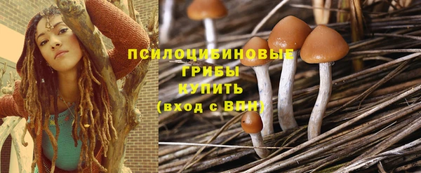 прущая мука Алзамай