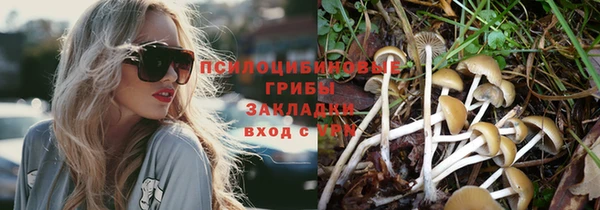 прущая мука Алзамай