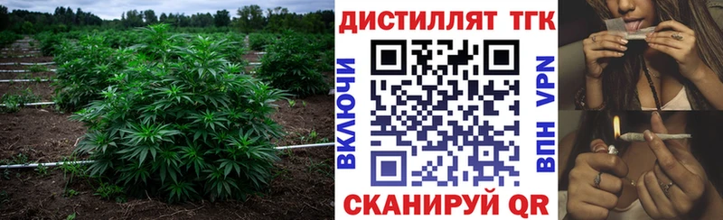 сколько стоит  Ахтубинск  ТГК Wax 